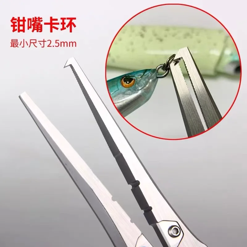 BOTR-High Precision Titanium F - Fishing Equipment Basics review and price