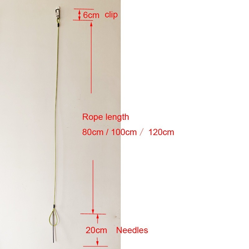 Spear Fishing Fish Stringer fo - Fishing Equipment Basics review and price